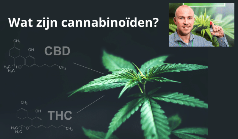 Wat zijn cannabinoiden