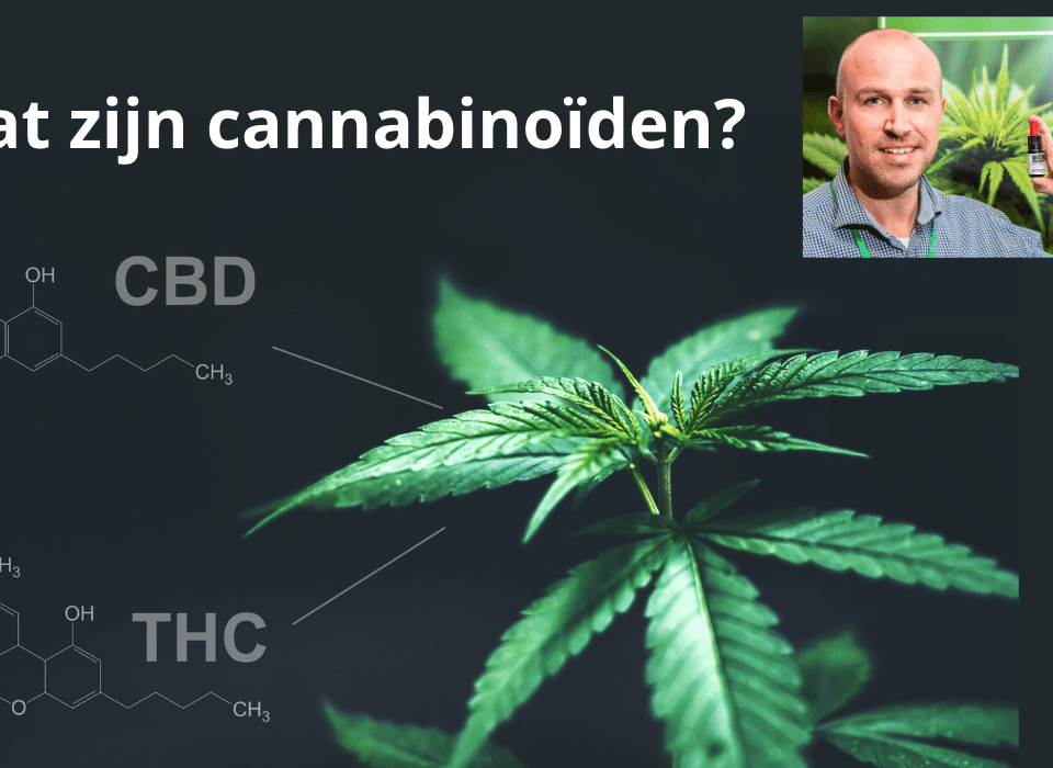 Wat zijn cannabinoiden