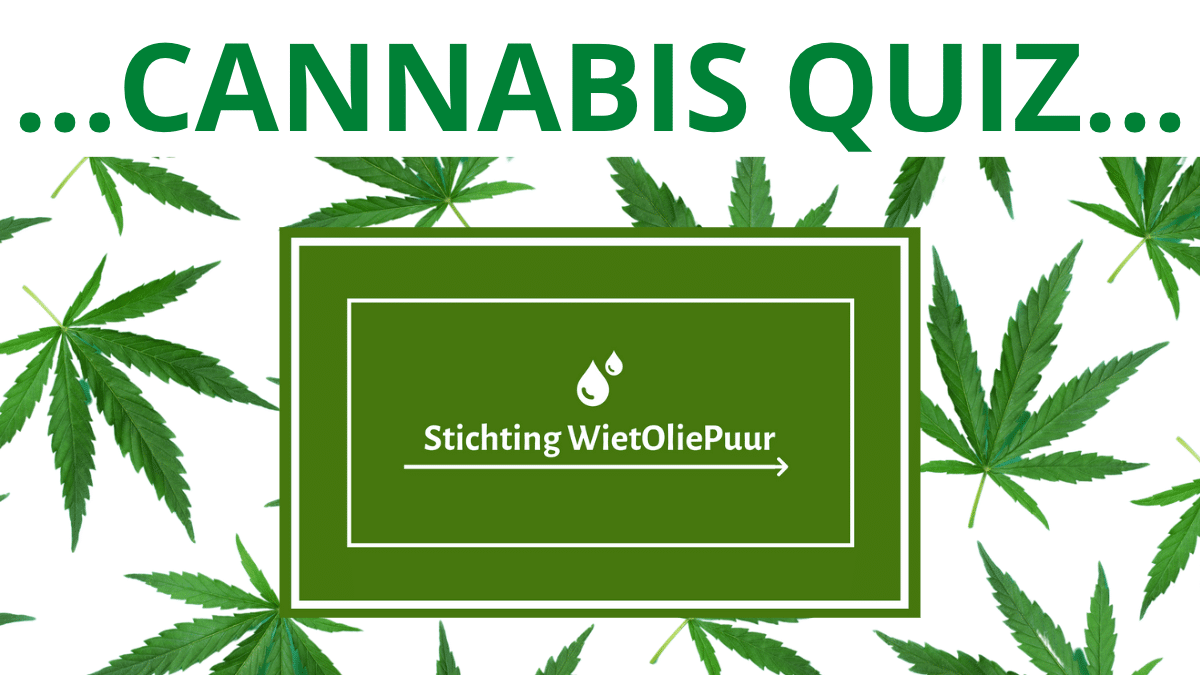 cannabis quiz...