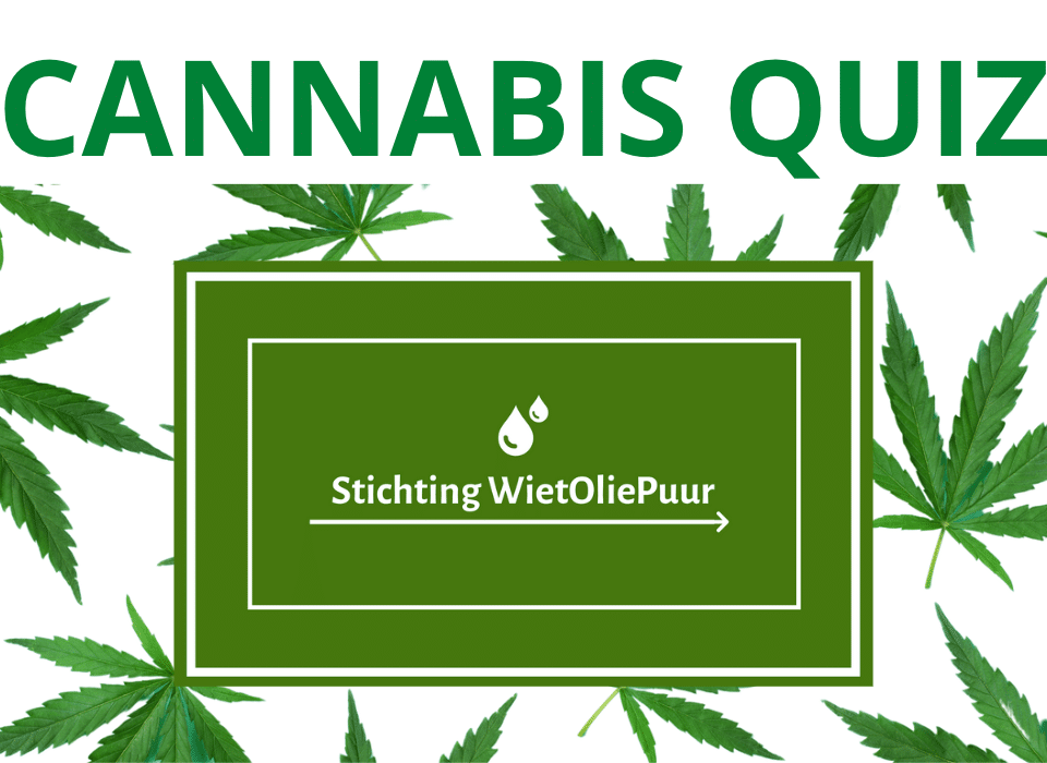 cannabis quiz...