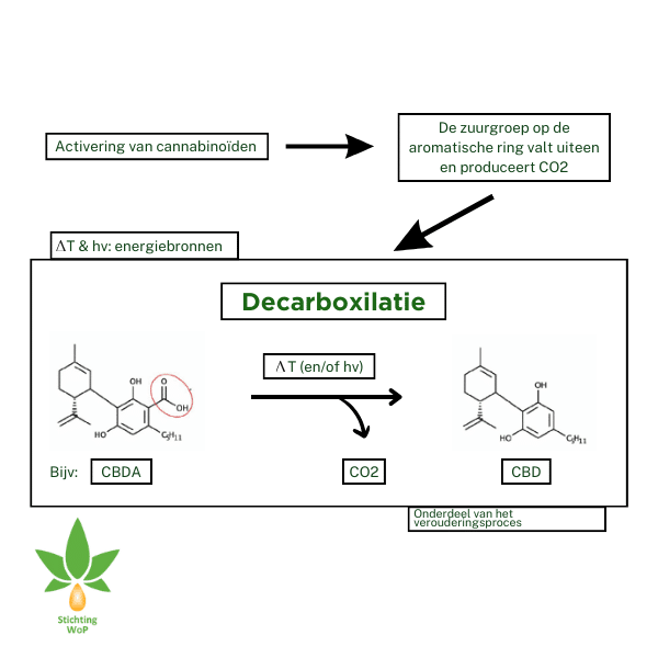 Fytocannabinoiden 4